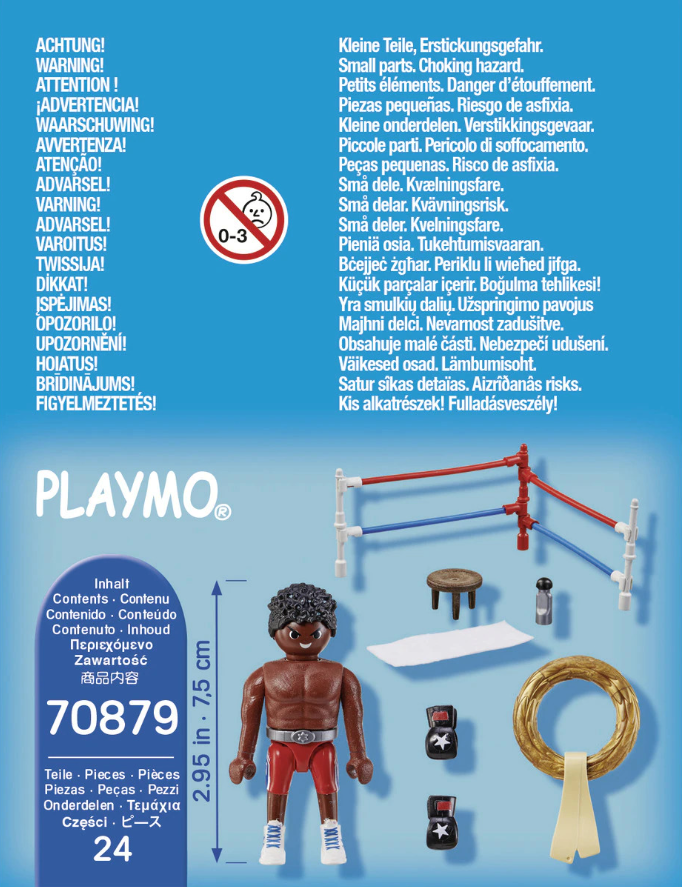 CAMPEÓN DE BOXEO - Imagen 3
