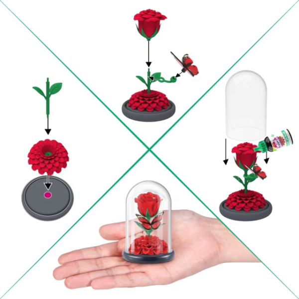 SORPRESAS GARDEN - CREATE - Imagen 3